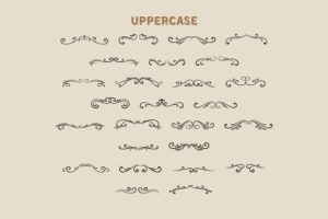 Alternative view of Divider Vintage Font