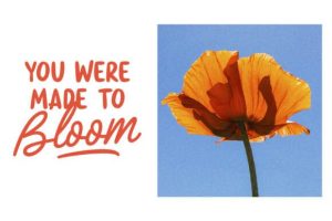 Alternative view of Doodle Cream Font