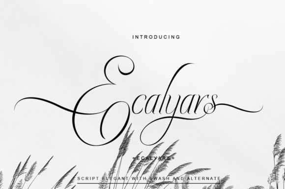 Ecalyars Font - Image 2