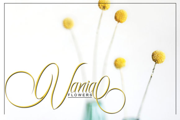 Ecalyars Font - Image 5