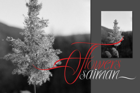 Ecalyars Font - Image 6