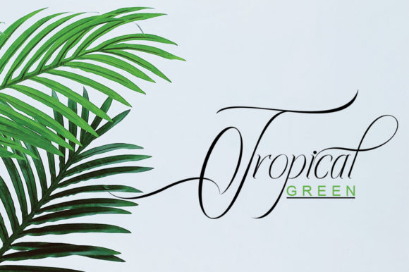 Ecalyars Font - Image 7