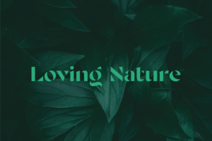 Alternative view of Elda Font