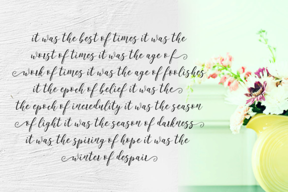 Emelyne Script Font Font - Image 6