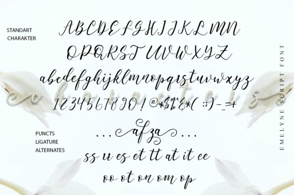 Emelyne Script Font Font - Image 8