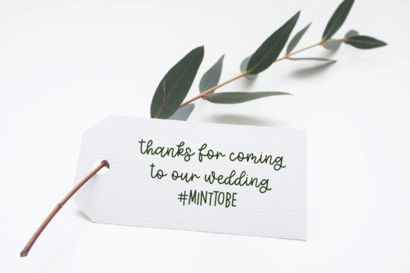 Eucalyptus Spearmint Font - Image 2