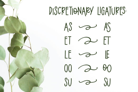 Eucalyptus Spearmint Font - Image 3