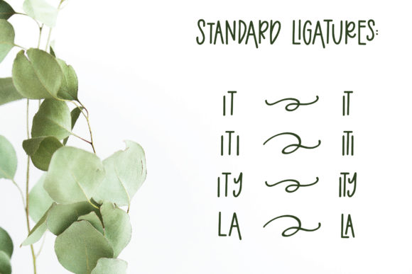 Eucalyptus Spearmint Font - Image 4