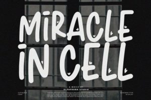 Alternative view of Euphoria Font