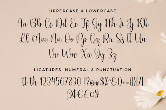 Fabulous Font - Image 8