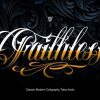 Faithless Font