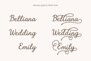 Alternative view of Family Font