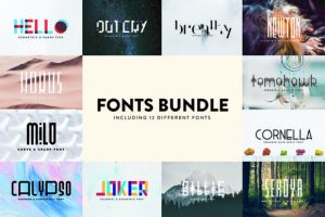 Fonts Bundle Vol 1  Font