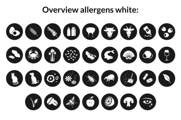 Food & Allergen Font - Image 5
