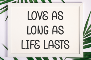 Alternative view of Foreignness Font