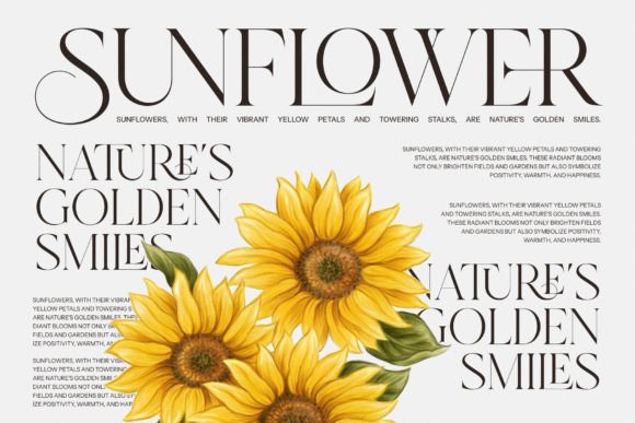 Fresh Grapes Font - Image 5