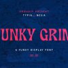 Funky Grim Font