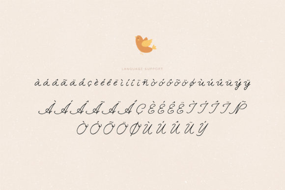 Funny Cat Font - Image 4