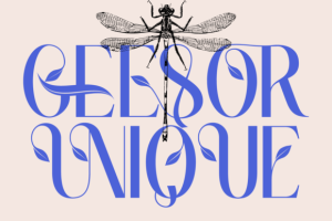 Geesor Unique Font