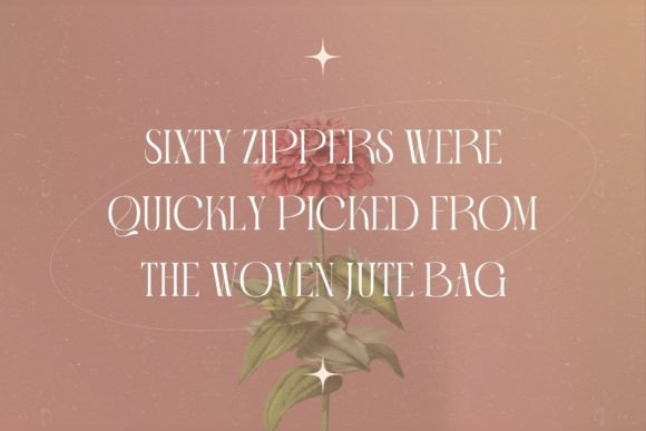 Gallero Vintage Font - Image 3