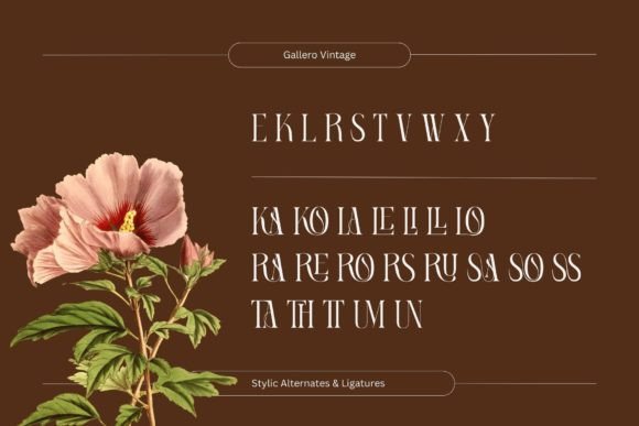 Gallero Vintage Font - Image 6
