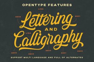 Alternative view of Garland Font