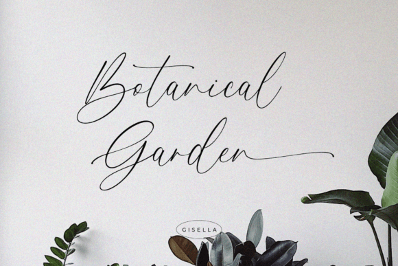 Gisella Font - Image 8