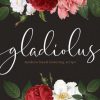 Gladiolus Font