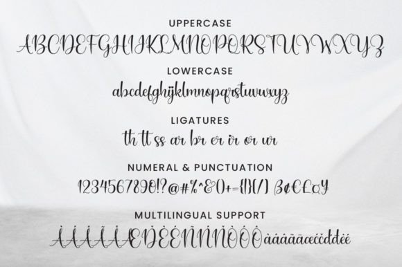 Hailey Joseph Font - Image 5