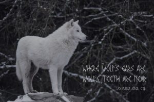 Alternative view of Hammond Font