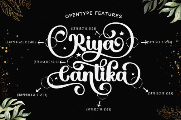 Hello Cantika Script Font - Image 6