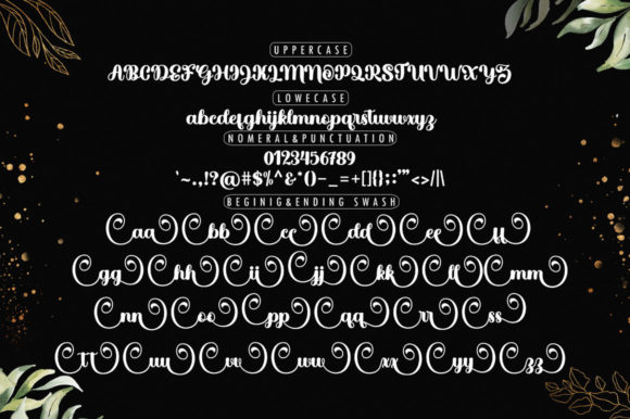 Hello Cantika Script Font - Image 7