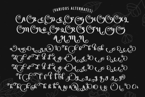 Hello Cantika Script Font - Image 8