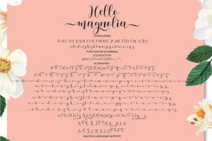 Alternative view of Hello Magnolia Font