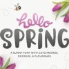 Hello Spring Font