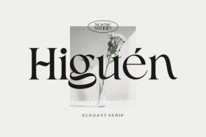 Higuen Font