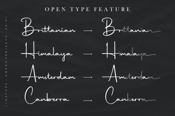 Hildaquin Font - Image 9