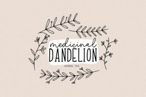 Alternative view of Home Lemonade Font