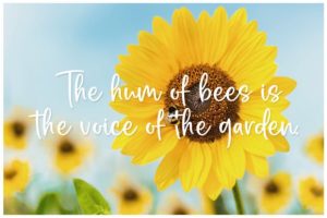 Alternative view of Honey Bee Font