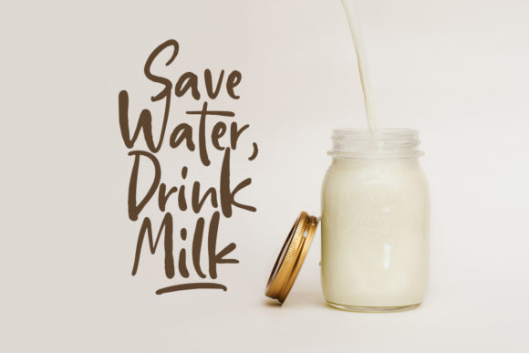 Hopkins Angela Font - Image 5