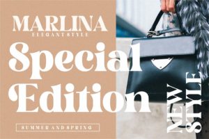 Alternative view of Hustle Bright Font