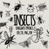 Insects Font