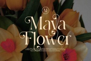 Alternative view of Jenura Font