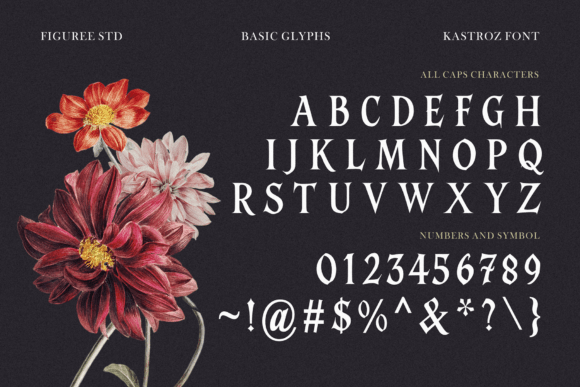Kastroz Font - Image 5
