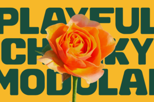 Alternative view of Klinko Font