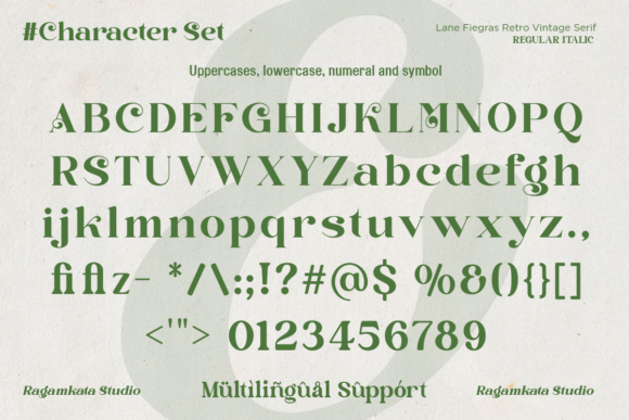 Lane Fiegras Font - Image 9