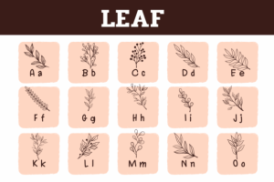 Alternative view of Leaf Font