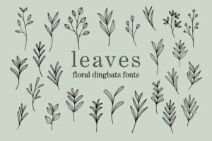 Leaves Font