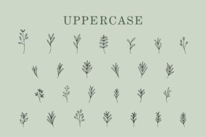 Alternative view of Leaves Font