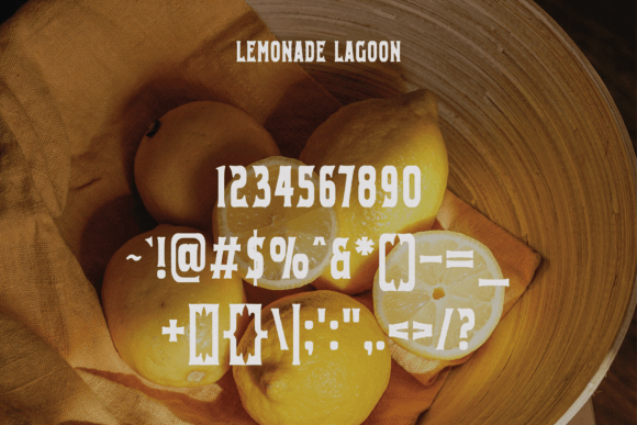 Lemonade Lagoon Font - Image 5